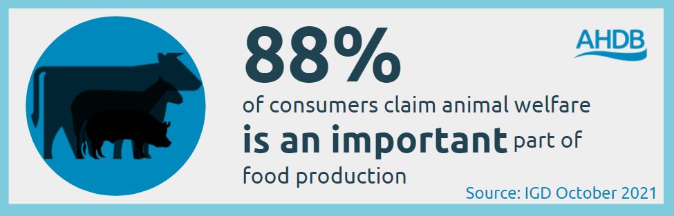 88% of consumers claim animal welfare is an important part of food production